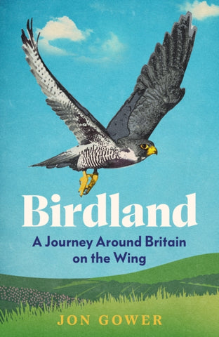 Birdland : A Journey Around Britain on the Wing-9780008688189