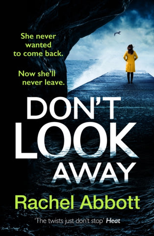 Don't Look Away : the pulse-pounding new thriller from the queen of the page turner-9781035403387