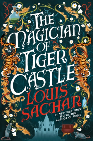 The Magician of Tiger Castle : the highly anticipated debut adult novel from the international bestselling author-9781035426591