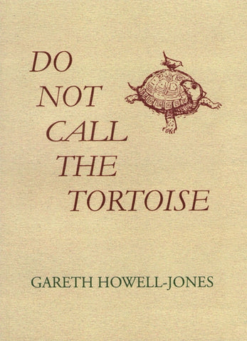 Do Not Call the Tortoise-9781399943109