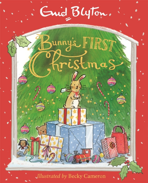 Bunny's First Christmas-9781444958324