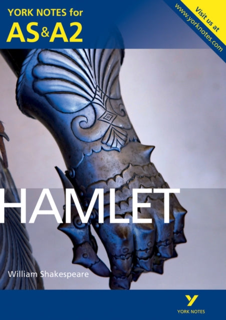 Hamlet: York Notes for AS & A2-9781447948872