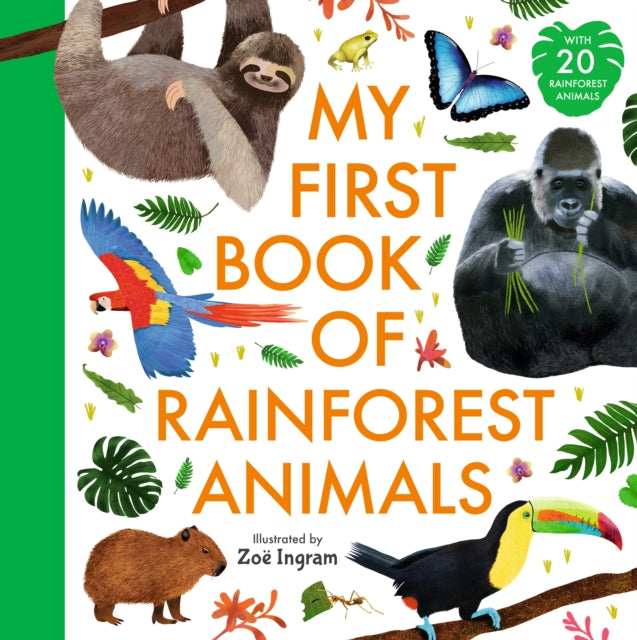 My First Book of Rainforest Animals-9781529522181