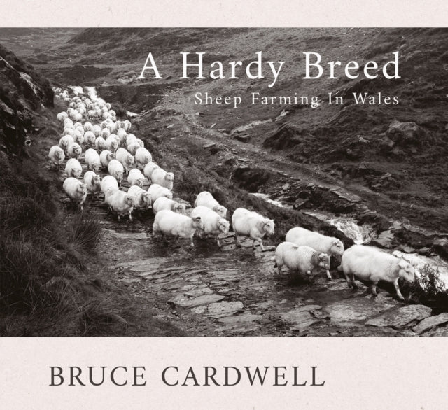 A Hardy Breed-9781781727218