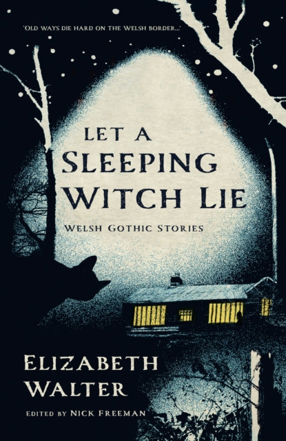 Let a Sleeping Witch Lie : Welsh Gothic Stories by Elizabeth Walter-9781781727799