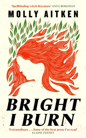 Bright I Burn-9781786898388