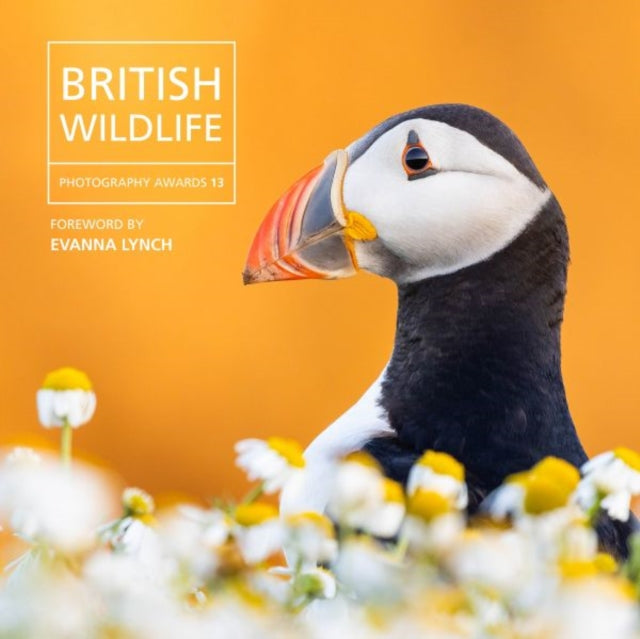 British Wildlife Photography Awards 13 : 13-9781802589856