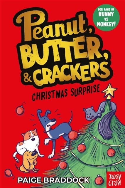 Christmas Surprise : A Peanut, Butter & Crackers story-9781805134589