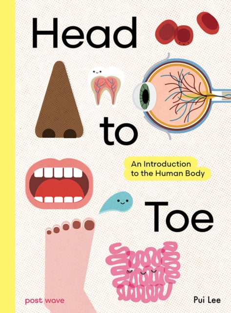 Head to Toe : An Introduction to the Human Body-9781836270232