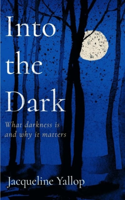 Into the Dark : What darkness is and why it matters-9781837730728