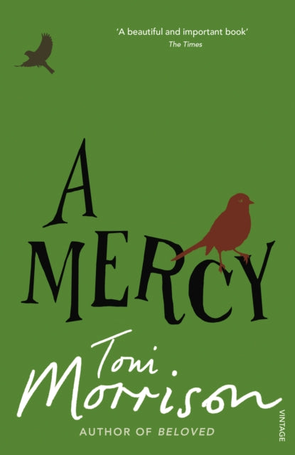 A Mercy-9780099502548