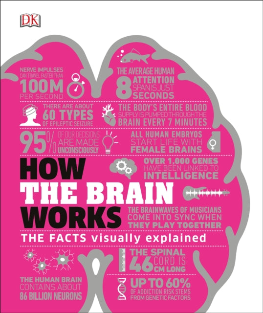 How the Brain Works : The Facts Visually Explained-9780241403372