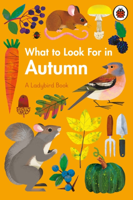 What to Look For in Autumn-9780241416167
