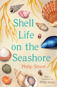 Shell Life on the Seashore-9780571354450