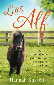Little Alf : The true story of a pint-sized pony who found his forever home-9780751568912