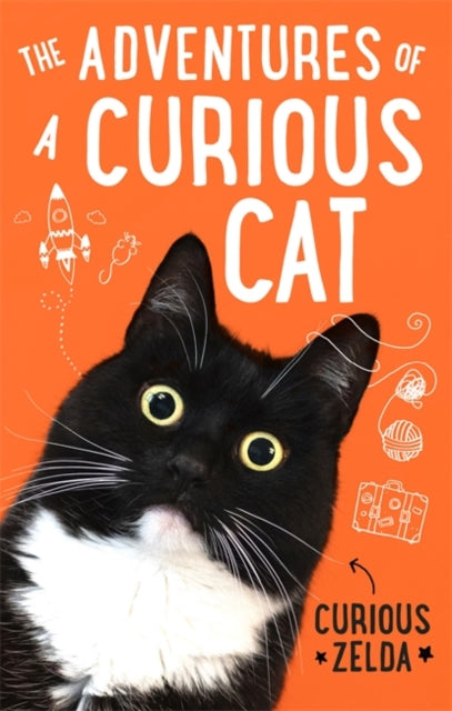 The Adventures of a Curious Cat : wit and wisdom from Curious Zelda, purrfect for cats and their humans-9780751581195