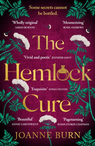 The Hemlock Cure : A beautifully written story of the women of Eyam Jennifer Saint, author of ARIADNE-9780751581935