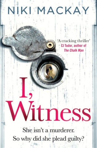 I, Witness-9781409174615
