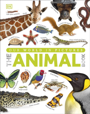 Our World in Pictures The Animal Book-9781409323495