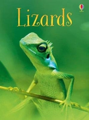 Lizards-9781474950459