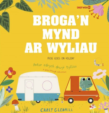 Broga'n Mynd ar Wyliau / Frog Goes on Holiday-9781784231798