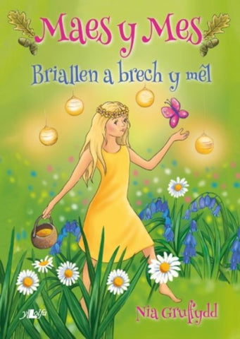 Cyfres Maes y Mes: Briallen a Brech y Mel-9781784615642