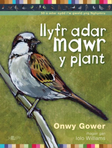 Llyfr adar mawr y plant-9781784617776