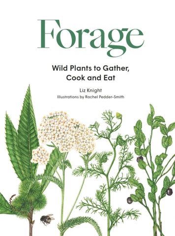 Forage : Wild plants to gather and eat-9781786277350