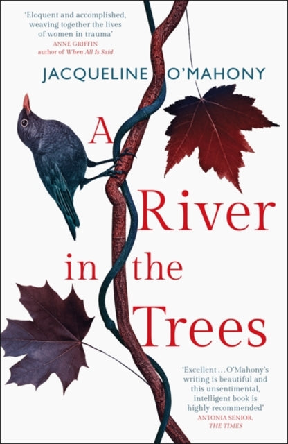 A River in the Trees-9781787473553