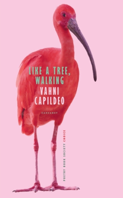 Like a Tree, Walking-9781800171954