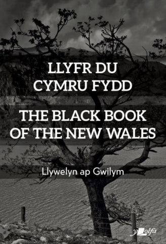Llyfr Du Cymru Fydd / The Black Book of the New Wales-9781800990401
