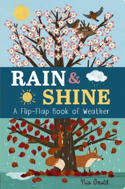 Rain & Shine: A Flip-Flap Book of Weather-9781801044578