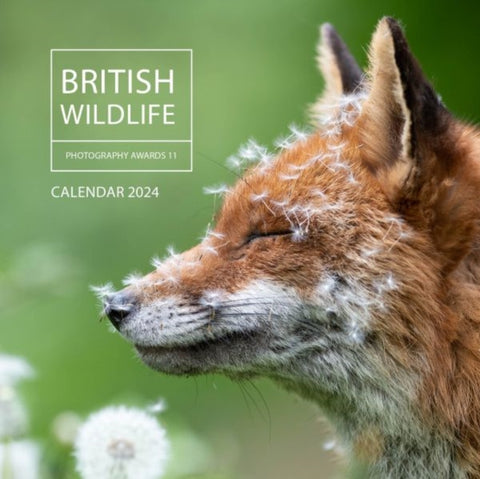 British Wildlife Photography Awards Calendar 2024-9781802585537