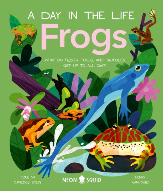 Frogs (A Day in the Life) : What Do Frogs, Toads, and Tadpoles Get Up to All Day?-9781838992880