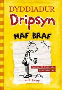 Dyddiadur Dripsyn : Haf Braf Vol. 4-9781849671842