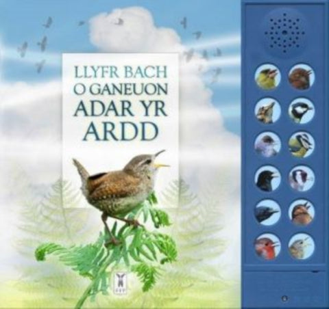 Llyfr Bach o Ganeuon Adar yr Ardd (Llyfr Sain)-9781908489425