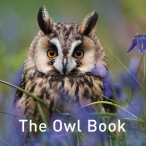 The Owl Book-9781912050420
