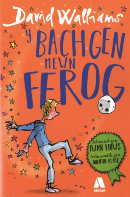 Bachgen Mewn Ffrog, Y-9781912261093