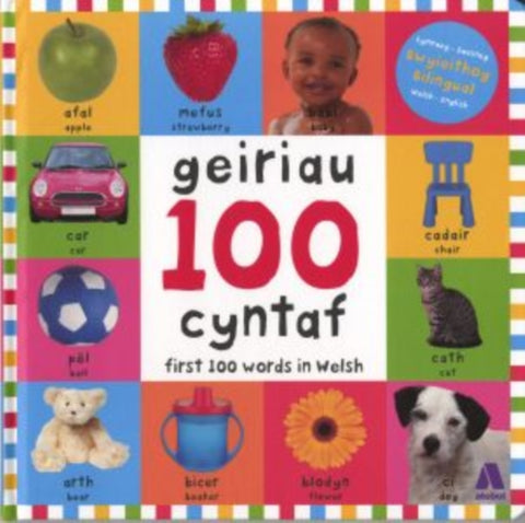 100 Geiriau Cyntaf/ First 100 Words in Welsh-9781912261109