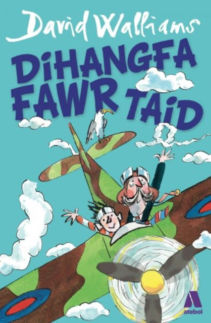Dihangfa Fawr Taid-9781912261246