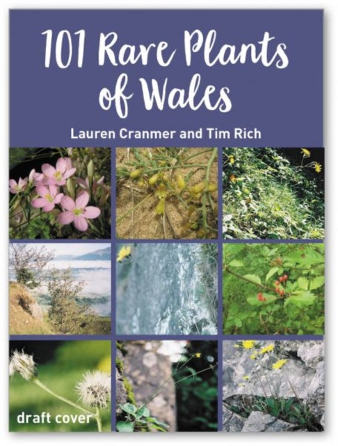 101 Rare Plants of Wales-9781913134037