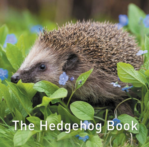 The Hedgehog Book-9781913134419